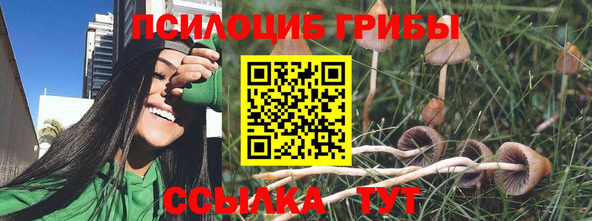 Псилоцибиновые грибы Psilocybine cubensis  Вход с VPN  Астрахань 