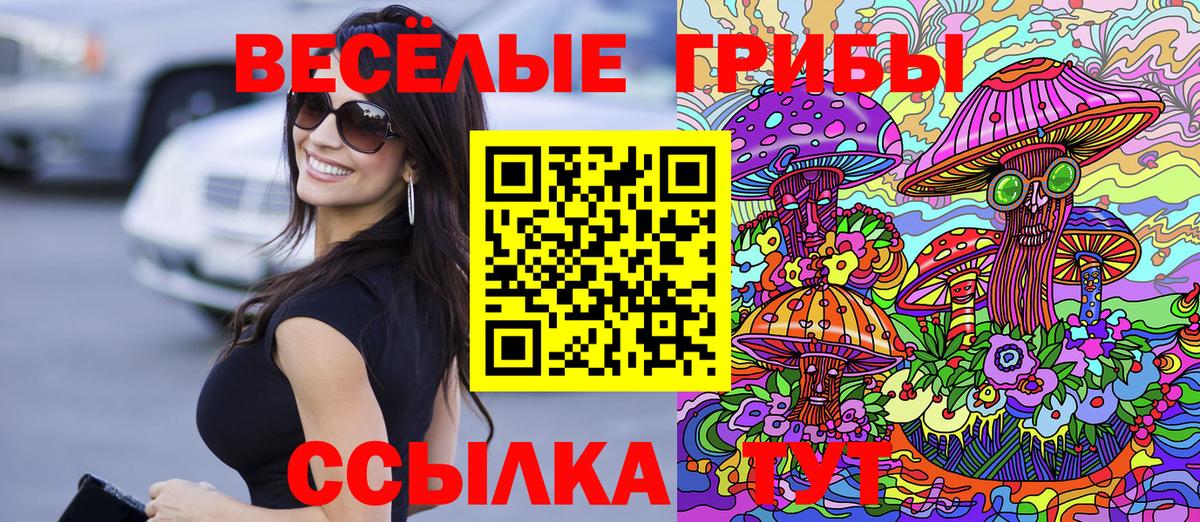 Галлюциногенные грибы Psilocybe Астрахань